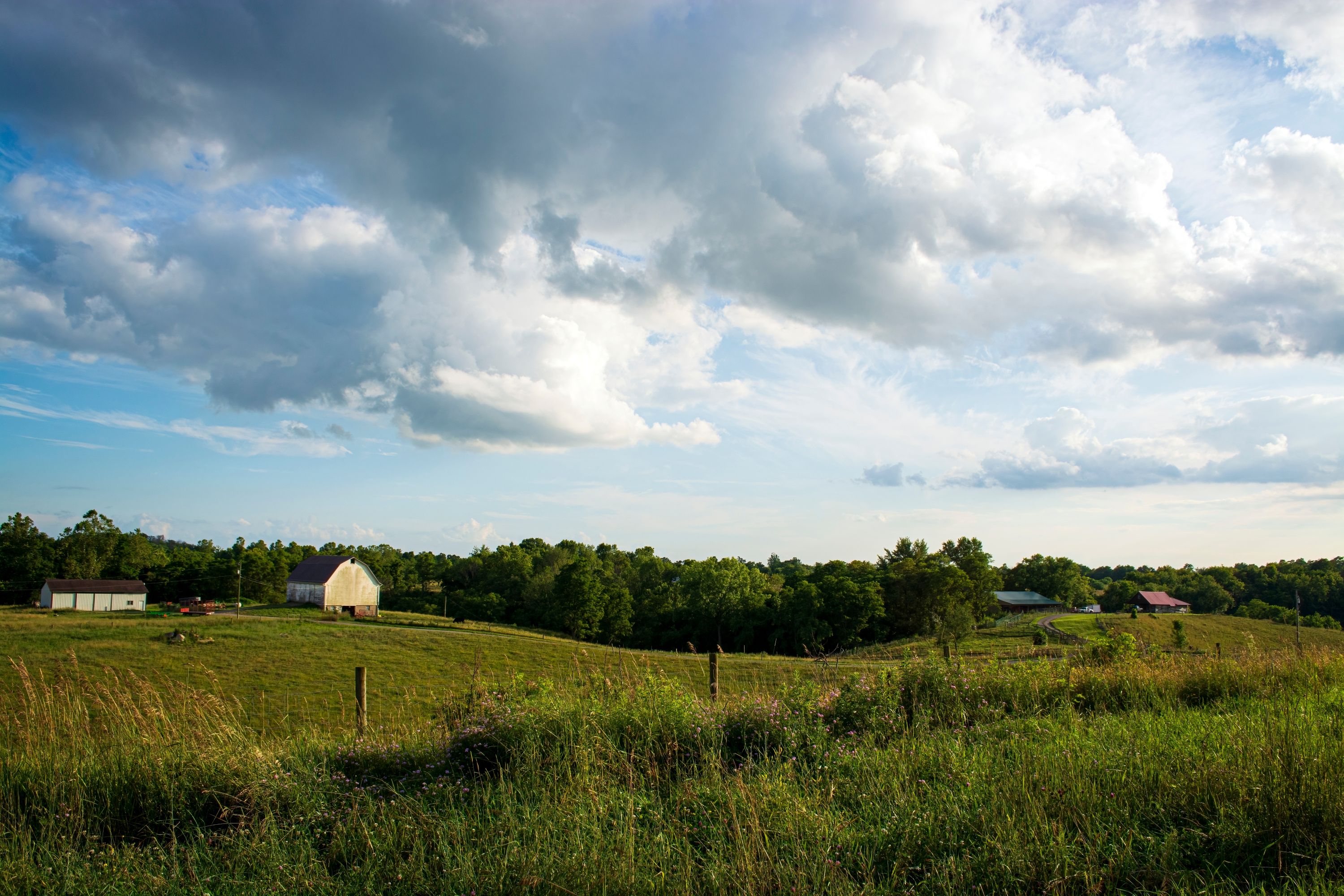Blacklick Shutterstock 2496674045 (1)
